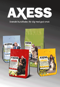 Axess